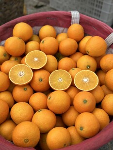 橙子