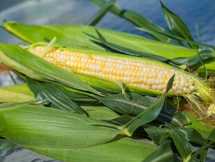 玉米棒