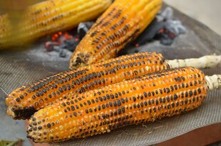 玉米