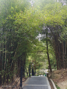 登山小道