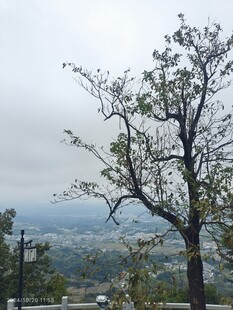 城市远景