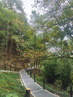 山间景色
