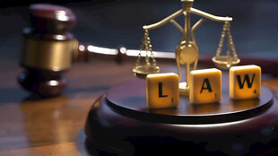 法律