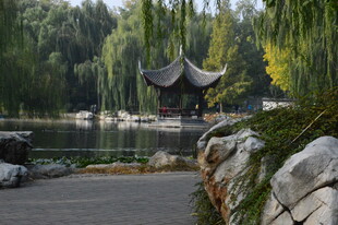 公园风景  