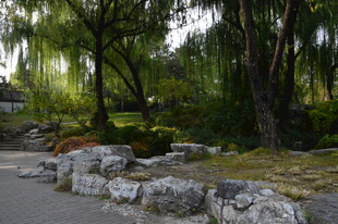 公园风景  
