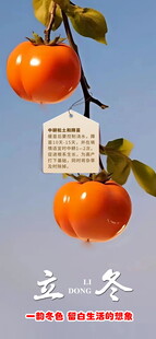 立冬海报