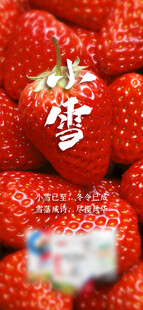 小雪海报