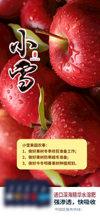 小雪海报