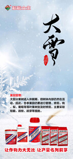 大雪海报