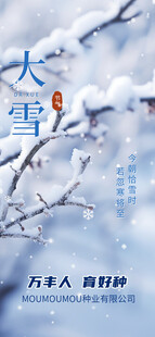 大雪海报