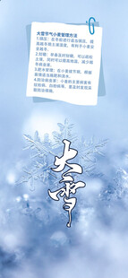 大雪海报