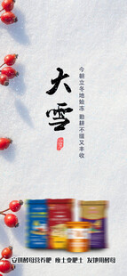 大雪海报