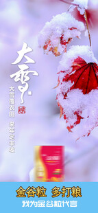 大雪海报