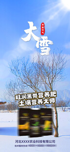 大雪海报