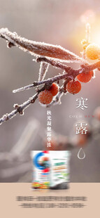 寒露海报
