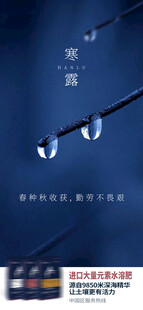 寒露海报