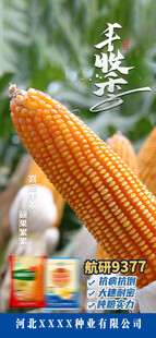 丰收节
