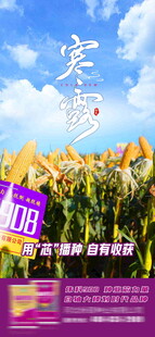 寒露海报
