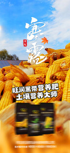 寒露海报