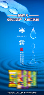 寒露海报