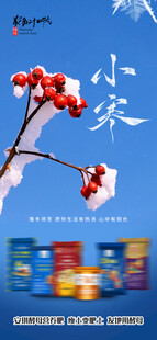 小寒海报