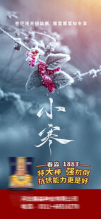 小寒海报