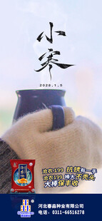 小寒海报