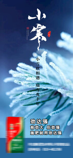 小寒海报