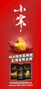小寒海报