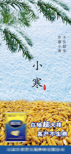 小寒海报