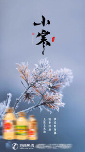 小寒海报