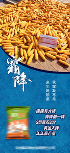 霜降