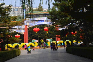 公园风景  