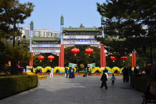 公园风景 