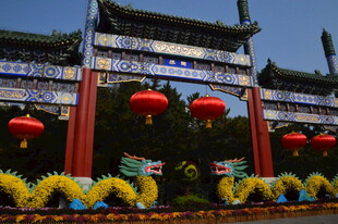 公园风景 