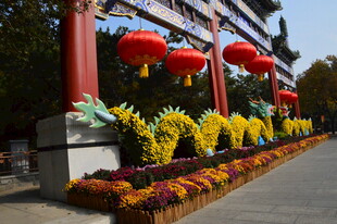 公园风景 