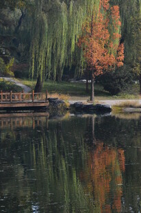 公园风景  