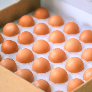 鸡蛋 