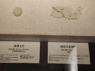 摄影