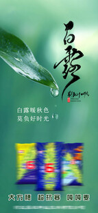 白露