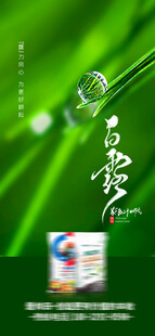白露