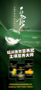 白露
