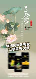 白露