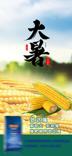 大暑