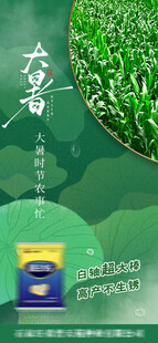 大暑