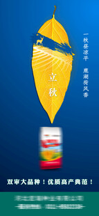 立秋