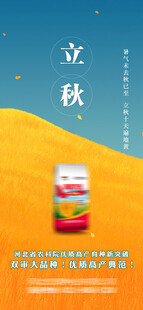 立秋