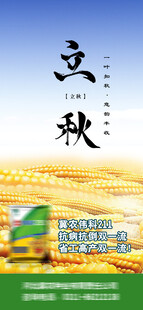 立秋