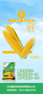 立秋