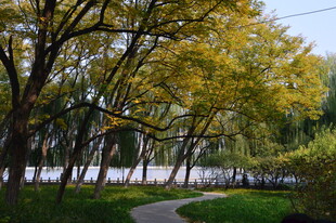 公园风景  